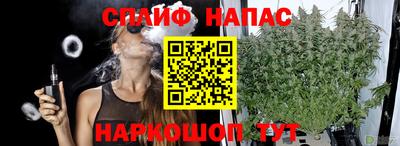 мяу мяу мука Будённовск