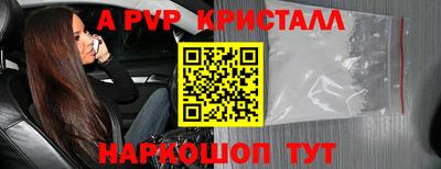 мяу мяу мука Будённовск
