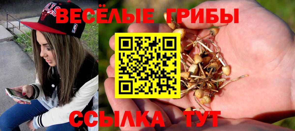Галлюциногенные грибы Magic Shrooms  Вход с VPN  Нижний Тагил 