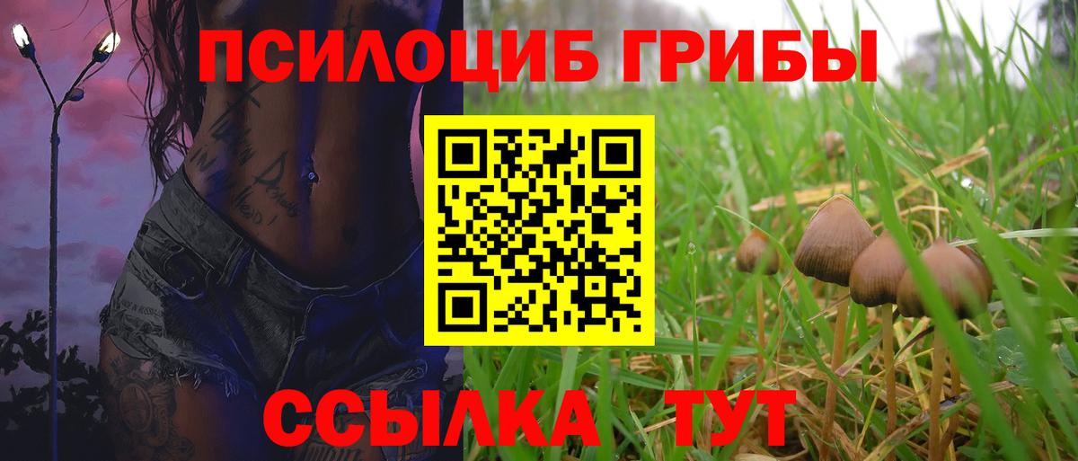 Галлюциногенные грибы мицелий Нижний Тагил